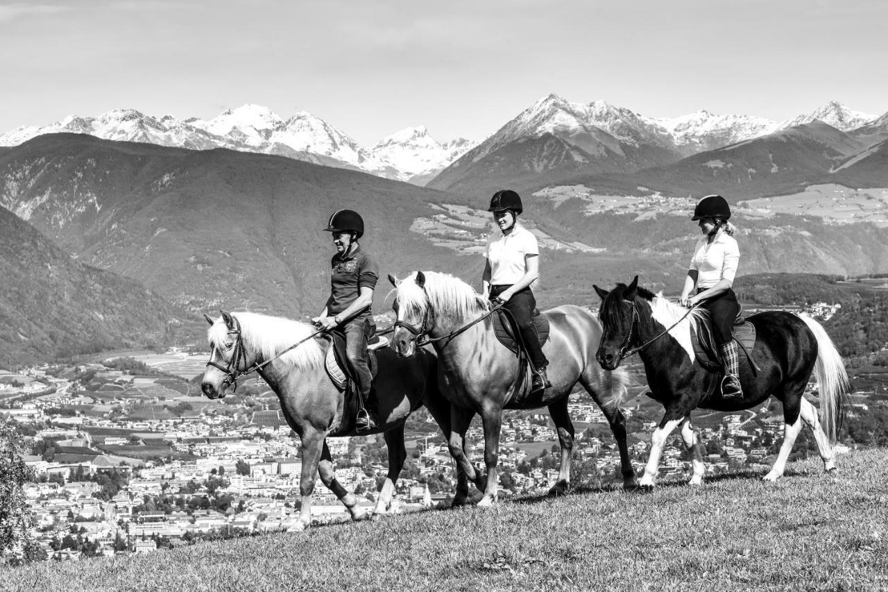 فيلا Widmannhof - Urlaub Auf Dem Biobauernhof بريسّانوني المظهر الخارجي الصورة
